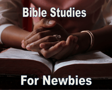 Bible Studies For Newbies - Christian Resource Library