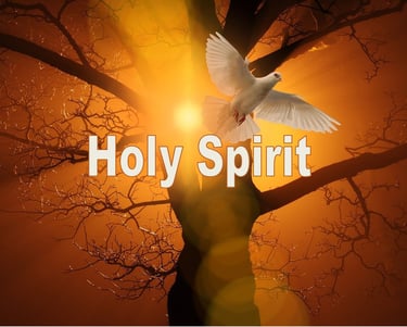 (The) Holy Spirit - Christian Resource Library
