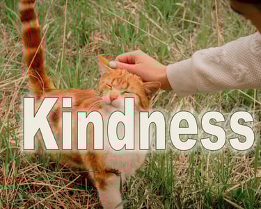 Kindness- Christian Resource Library