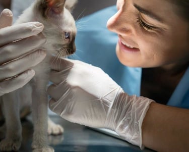 Curso de Auxiliar Veterinário