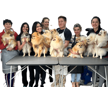 Treinamento para Funcionários Pet e Lojistas Pet