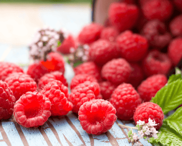 Choosing the Right Berries for Your Perennial Garden