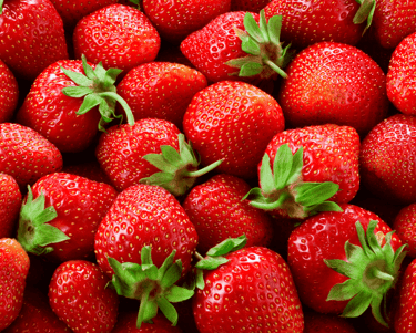 Choosing the Right Berries