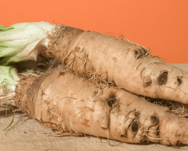 best perennial vegetables to grow salsify