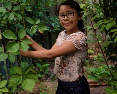 A girl harvesting from the family trellis in the garden. 