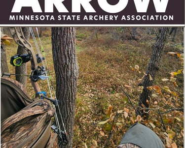 Minnesota Arrow Cover image