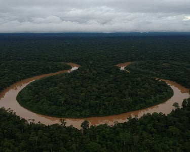 a river flowing through a forest with a river running through it