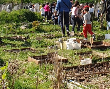 ecole du dehors, carrés potagerd