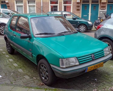 peugeot 205 trophy in Amsterdam