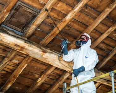 Traitement professionnel de charpente contre les termites par Renov Toiture à Pau