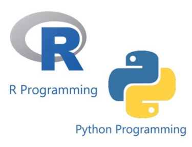 Learning Python and R Programming for commerce students in India