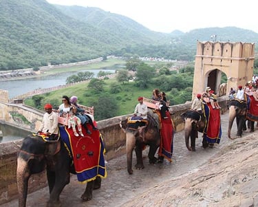 elephant safari at Amer fort