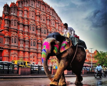 elephant ride infront of Hawa Mahal in Jaipur