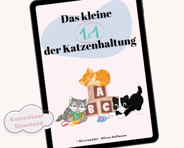 ein Tablet mit dem Cover eines E-Books, auf dem Katzen am spielen sind