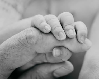 Photographe naissance - Papa Ours Photo