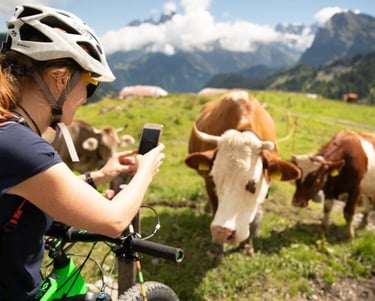 Rural tourism