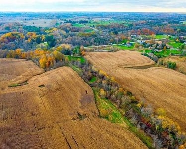 A mosaic of agricultural land and forests in rural Brant County.