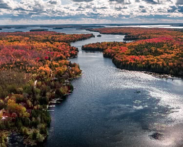 A large lake surrounded by forests in the Kawartha Lakes.