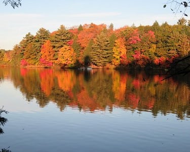 Lake and forested shoreline in autumn.