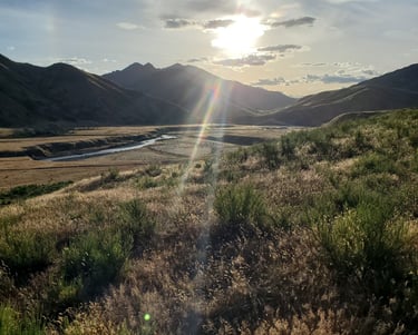 a beautiful new zealand landscape, gras, river, mountains and a setting sun