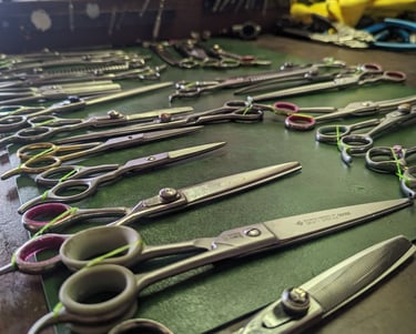 dog grooming shear sharpening