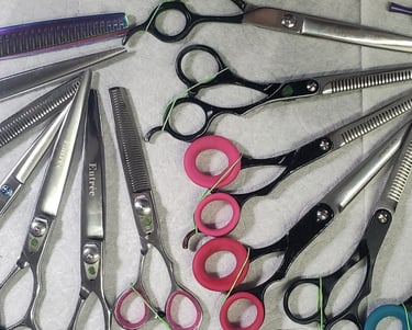 mail-in shear sharpening