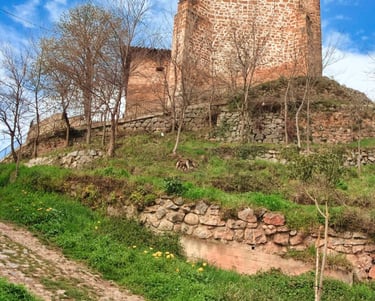 Torrecilla en Cameros-12