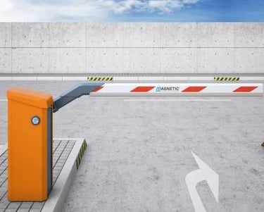 Vartų praėjimo įeigos kontrolė – (angl. access control) tai speciali įvažiavimo ar praėjimo kontrolė