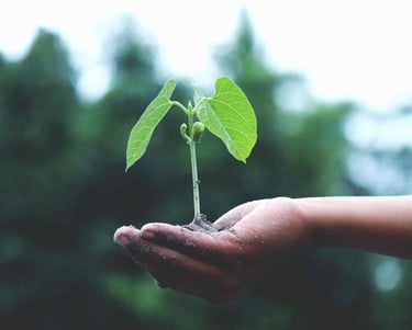 alimentae-generazione-goals-educazione-bologna-emilia-romagna
