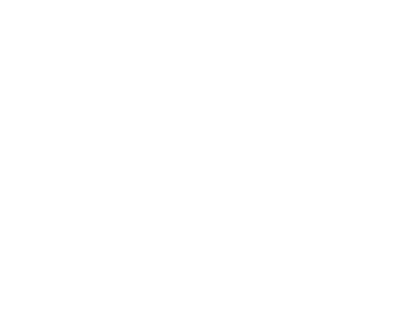 Flèche