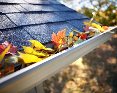 Gutter Cleaning In San Antonio