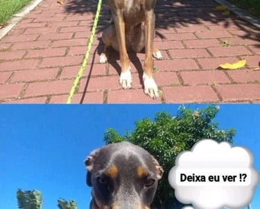 a dog sitting on a leash with a thought bubble bubble