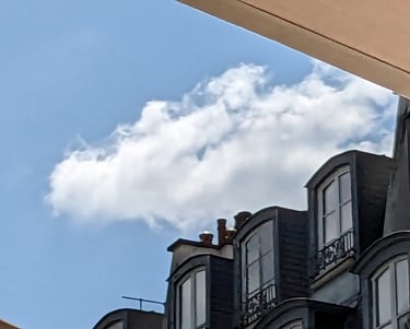 Cour du musée de Cluny. Que voyez-vous dans ce nuage ?