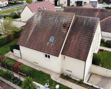avant nettoyage toiture