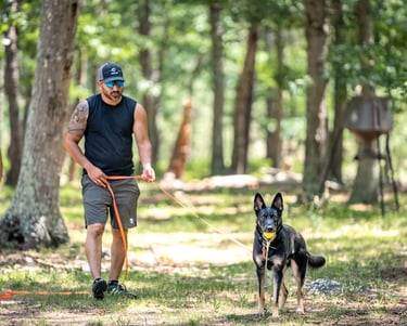 Tampa dog trainer working with German Shepherd on obedience outdoors.