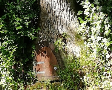 Petite porte au pied d'un chêne au Bois-de-Cise