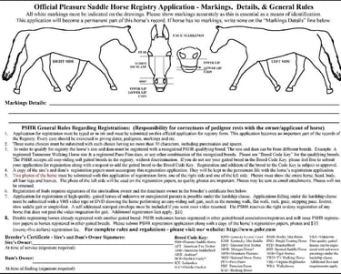 Click for larger version of 2nd page of gaited horse application form