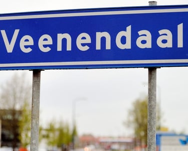 seo specialist Veenendaal