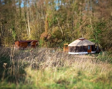 terrain de camping en Touraine avec tiny house et yourte