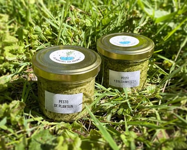 pots de pesto artisanaux et naturels, posé sur l'herbe