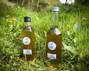 bouteilles de sirop artisanal, posées sur l'herbe