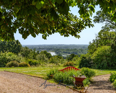 Vue sur Loire exceptionnelle