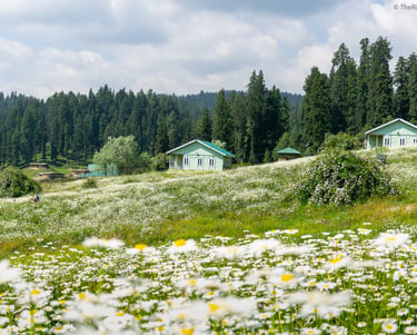 Yousmrg   Kashmir | Connect Kashmir