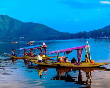 Srinagar  Kashmir | Connect Kashmir