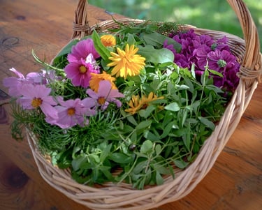 panier de fleur comestibles fraichement cuillies
