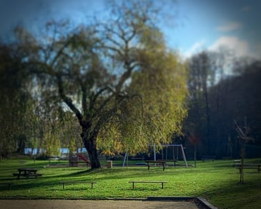 aire de jeu arboré avec balancoire, terrain de pétanque et table de camping