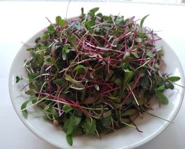 a bowl of fresh green vegetables and sprouts