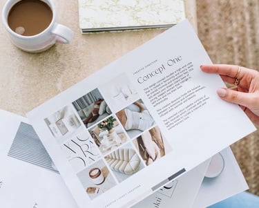 Curated Concept presentation that's super thoughtful and totally influenced by our industry know-how