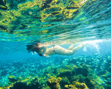 a woman swimming in the ocean with a camera