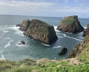 connexion au élément, mer, Roche, végétaux, vents, soleil